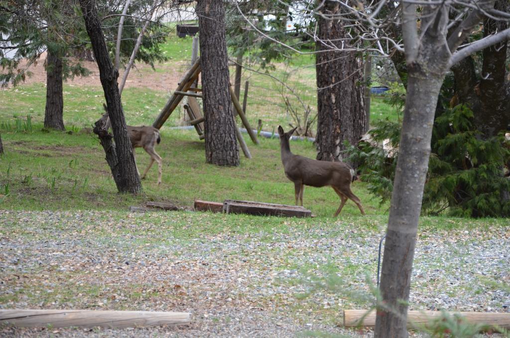 Yosemite Bass Lake House Bass Lake Annex 외부 사진
